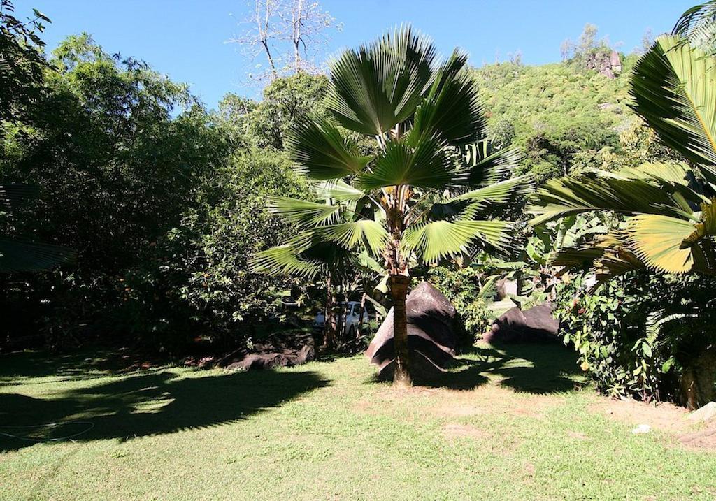 La Rocaille Villa Baie Lazare  Kültér fotó